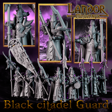 Load image into Gallery viewer, Guardians of the Black Citadel
