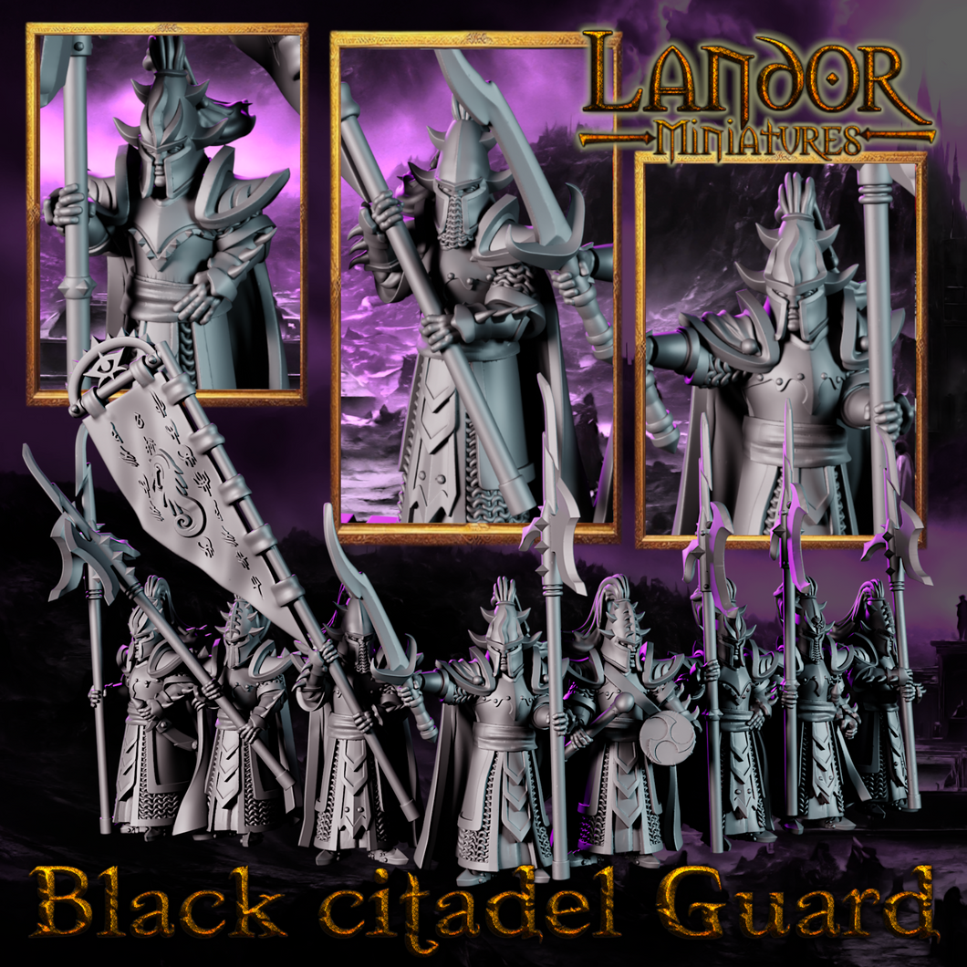Guardians of the Black Citadel