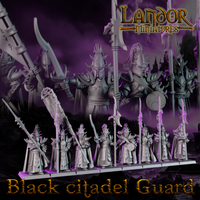Gardiens de la Citadelle Noire