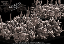 Charger l'image dans la galerie, Pack Warhamateur Peaux Vertes
