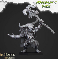 Pack Warhamateur Orcs Sauvages