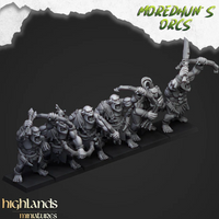Pack Warhamateur Orcs Sauvages