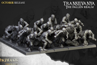 Pack Warhamateur Vampires