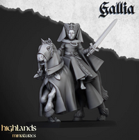 Pack Warhamateur Royaume de Gallia