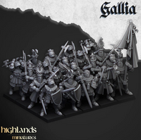 Pack Warhamateur Royaume de Gallia