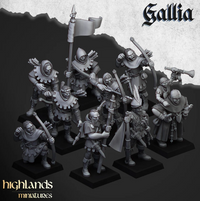 Pack Warhamateur Royaume de Gallia