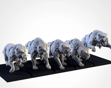 Load image into Gallery viewer, Pack Warhamateur Ogres
