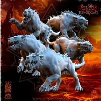 Pack Warhamateur Chaos Universel