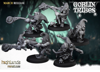 Pack Warhamateur Gobelin des Cavernes