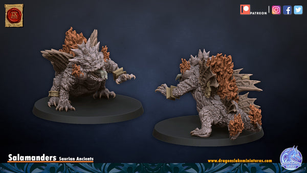 Salamander 2