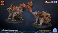 Salamandre 2