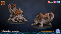 Salamandre 2