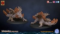 Salamandre 2