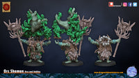 Shaman Orc