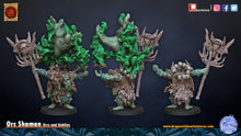 Charger l&#39;image dans la galerie, Shaman Orc

