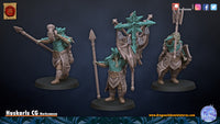 Huskarls du Nords