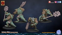 Caiman Elders