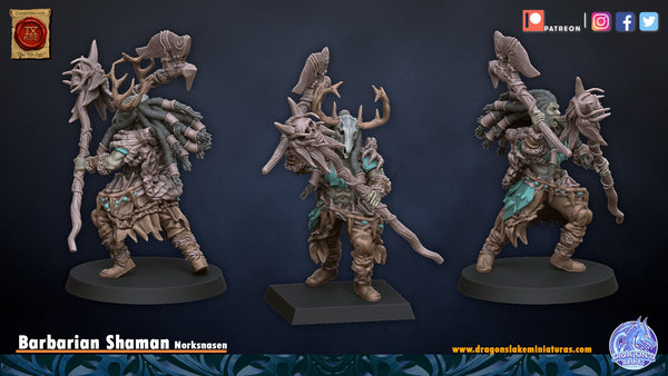 Shaman Barbare