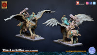 Sorcier sur Griffon