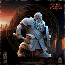 Load image into Gallery viewer, Warriors of the Kingdom
