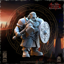 Load image into Gallery viewer, Warriors of the Kingdom
