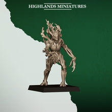 Charger l'image dans la galerie, Dryades des forêts
