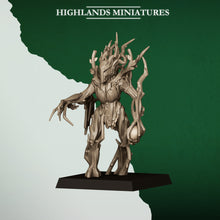 Charger l'image dans la galerie, Dryades des forêts
