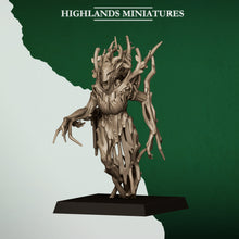 Charger l'image dans la galerie, Dryades des forêts
