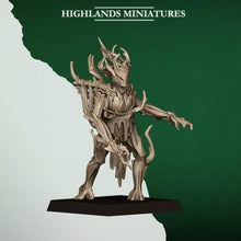 Charger l'image dans la galerie, Dryades des forêts
