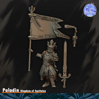 Paladin du Graal