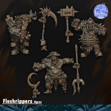 Load image into Gallery viewer, Etripeurs Ogres
