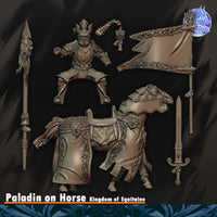 Paladin du Graal