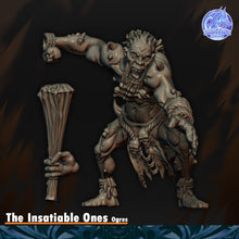 Load image into Gallery viewer, Ogres insatiables
