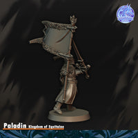 Paladin du Graal