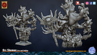 Shaman Orc