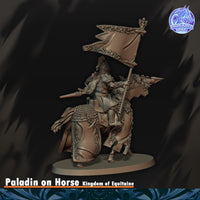 Paladin du Graal