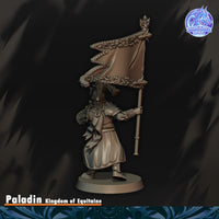 Paladin du Graal