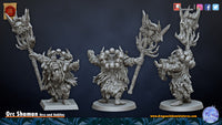 Shaman Orc