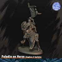 Paladin du Graal