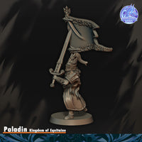 Paladin du Graal