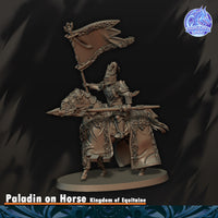 Paladin du Graal