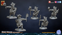 Hero Skink Veteran