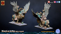 Sorcier sur Griffon
