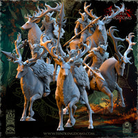 Chevaucheurs des forêts sur cerfs