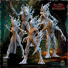 Load image into Gallery viewer, Dryads
