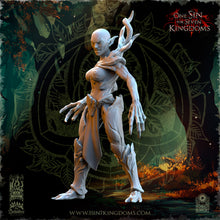Load image into Gallery viewer, Invocations des Forêts
