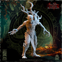 Load image into Gallery viewer, Invocations des Forêts
