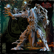 Charger l'image dans la galerie, Reine des Forêts
