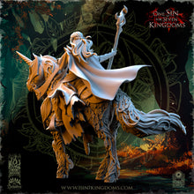 Charger l'image dans la galerie, Nuara sur cheval
