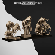 Load image into Gallery viewer, Nuée de Spectres
